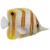 Copper Band Butterflyfish (Chelmon rostratus)