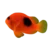 Fire Clownfish (Large Size) (Amphiprion ephippium)