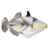 Humu Picasso Triggerfish (Rhinecanthus aculeatus)