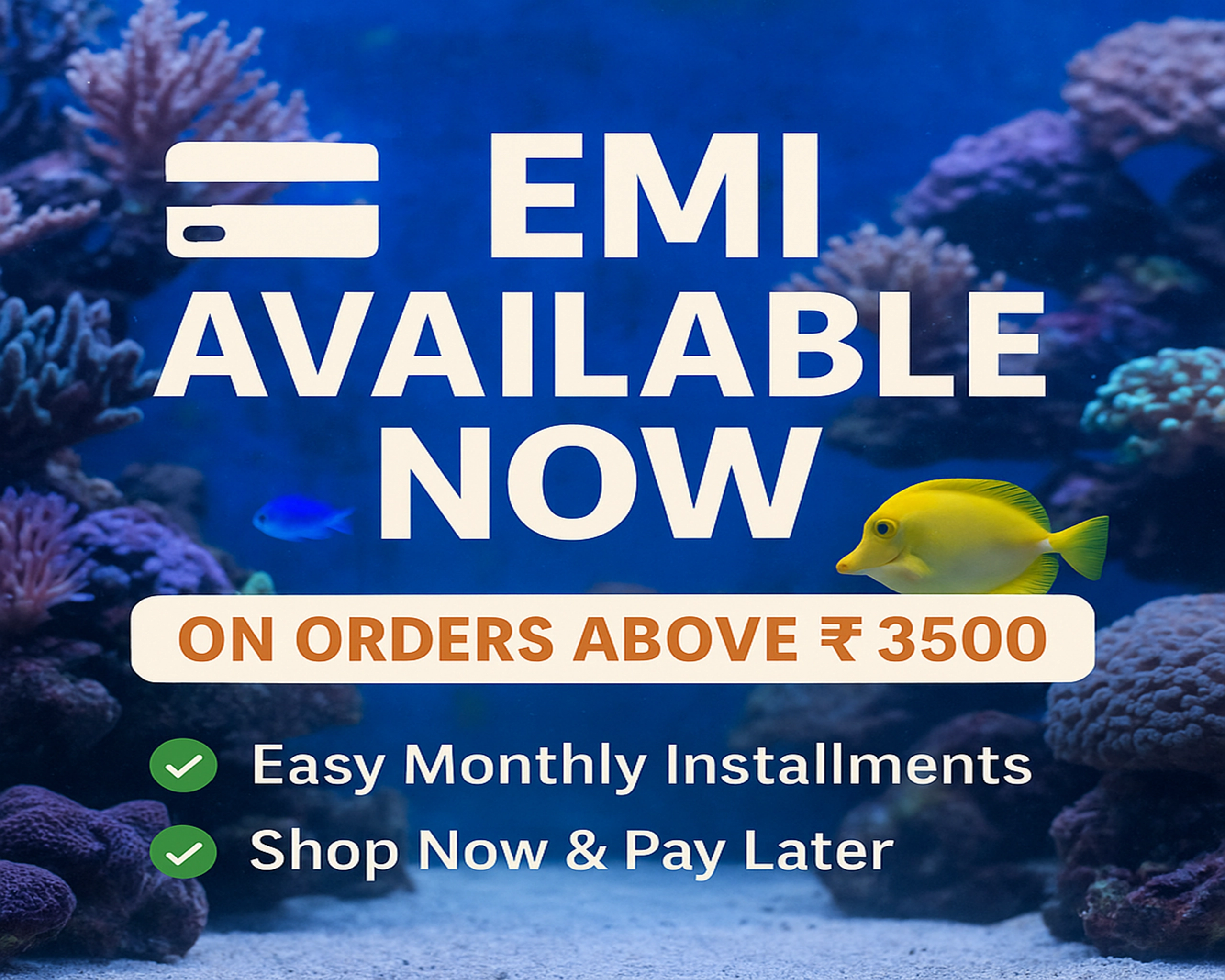 emi ishrav