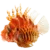 Fuzzy_Dwarf_Lionfish