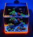 Marine Nano Aquarium 12 inch