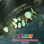 Pacific Clown Anemone Shrimp