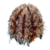 Pincushion Urchin, Hairy (Tripneustes gratilla)