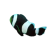 Saddleback Clownfish (Amphiprion polymnus)