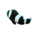 Saddleback Clownfish (Amphiprion polymnus)