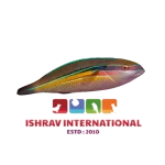 Three_Striped_Ribbon_Wrasse