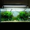 Planted Aquarium Hi-tech 36inch (3 ft)