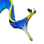 Blue Ribbon Eel