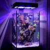 Marine Special Aquarium 24inc Cube (2 ft)