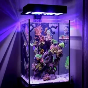 Largest Online Marine Aquarium, Fish and Pet Store