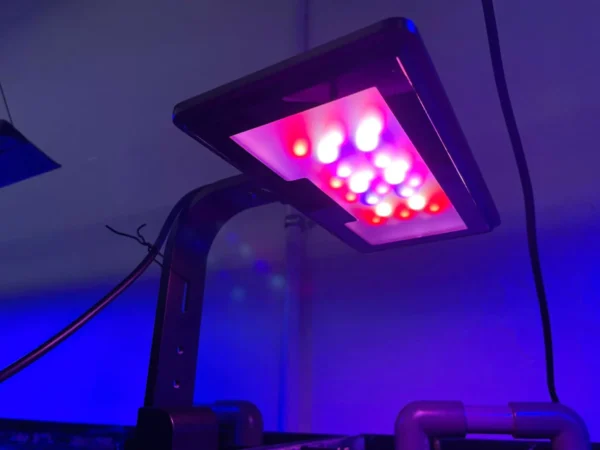 Maxspect Jump Series Refugium Lights