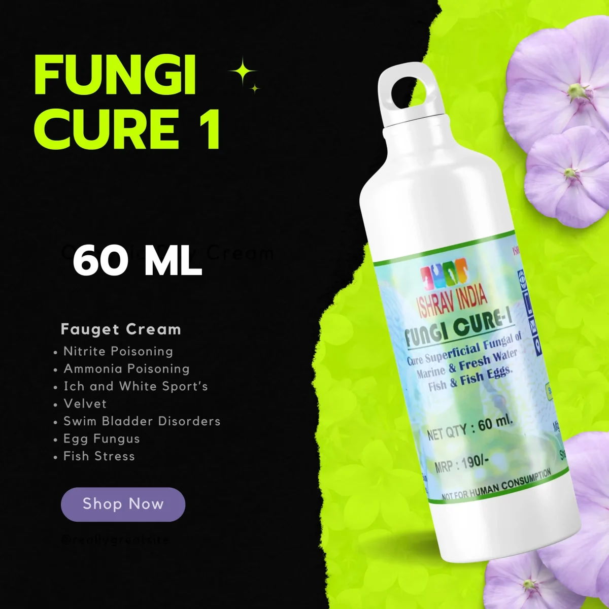 fungi 1