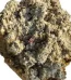 Aquaculture White Rock - Bio Rock