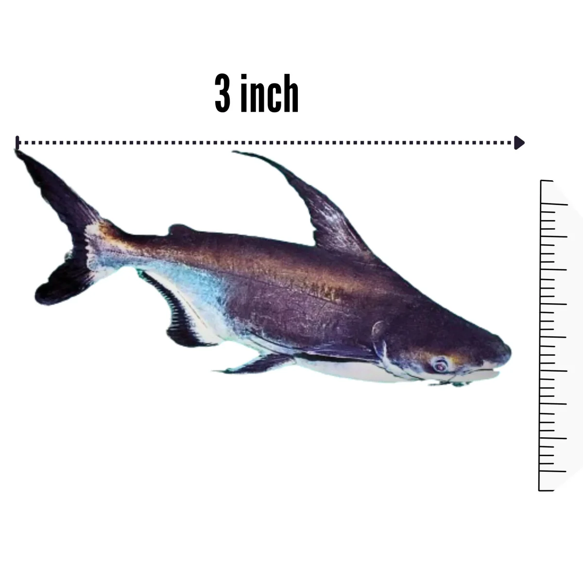 Hammer Head Shark- Iridescent - Image 2