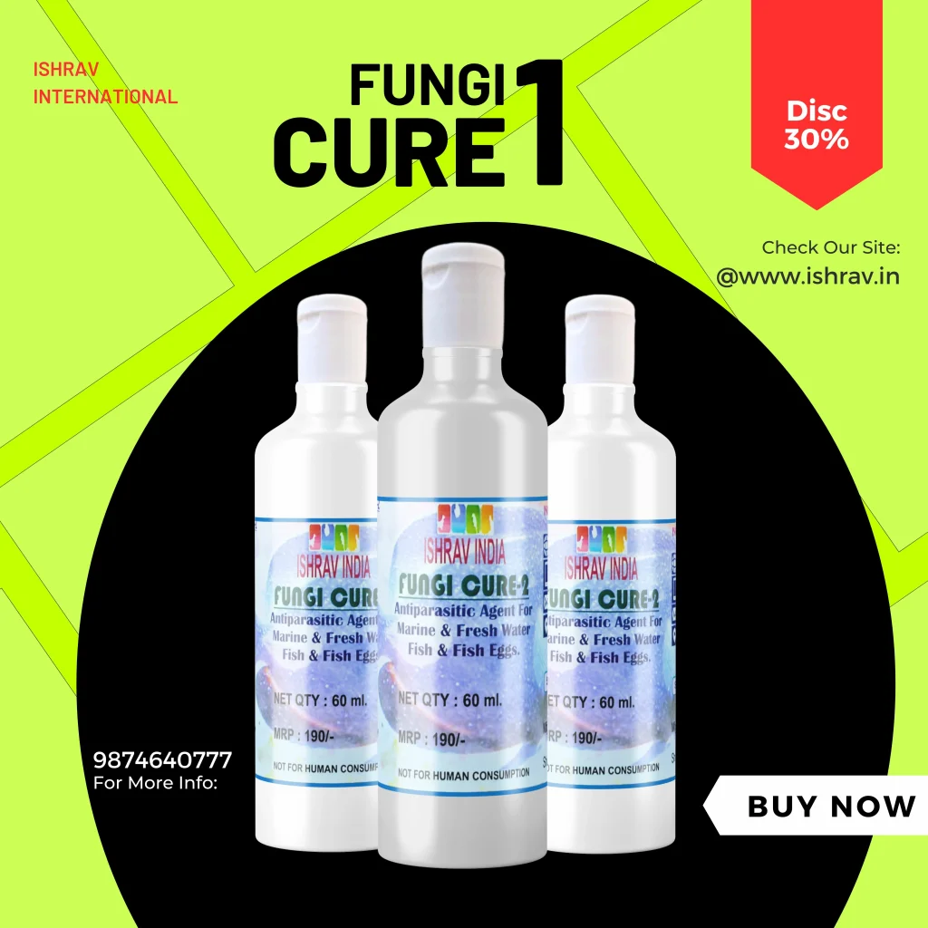 FUNGI CURE 2 - Anti parasitic Agent for Marine and Fresh Water Fish Combo