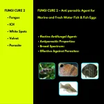 FUNGI CURE 2 - Anti parasitic Agent for Marine and Fresh Water Fish Combo - Image 3