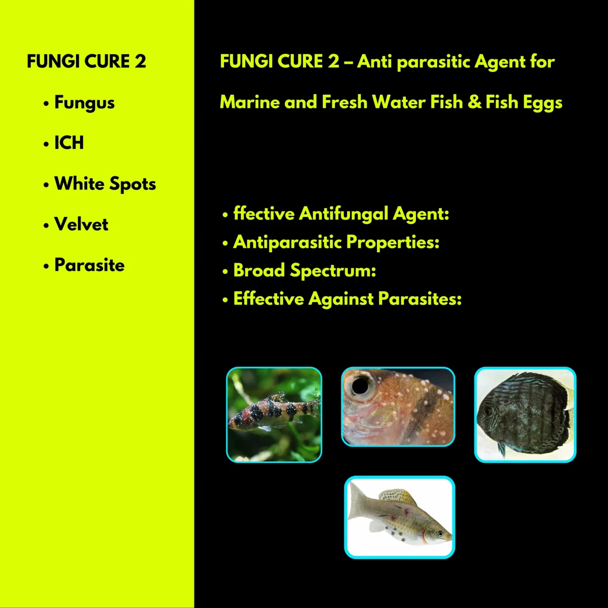 FUNGI CURE 2 - Anti parasitic Agent for Marine and Fresh Water Fish Combo - Image 3