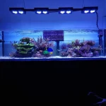 Marine Aquarium 8ft / 96 inch