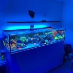 Marine Aquarium 7ft / 84 inch