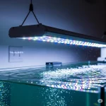 Aquariums Light