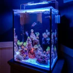 Marine Aquarium