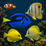 Marine Fish